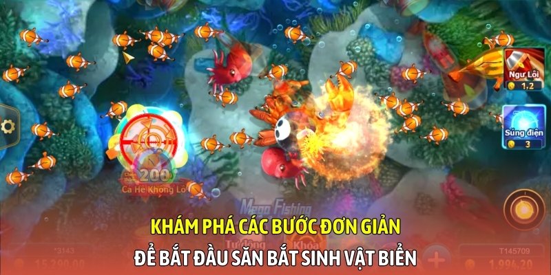 Khám phá các bước đơn giản để bắt đầu săn bắt sinh vật biển