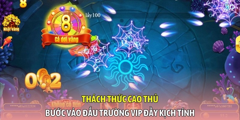 Thách thức cao thủ, bước vào đấu trường VIP đầy kịch tính