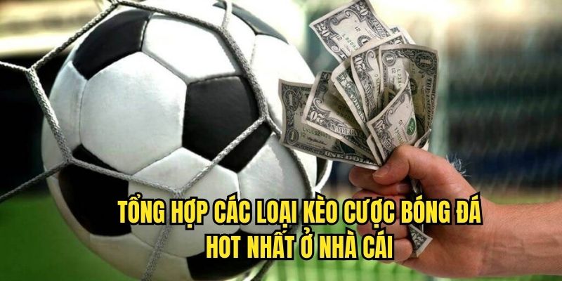 Tổng hợp các loại kèo cược bóng đá hot nhất ở nhà cái